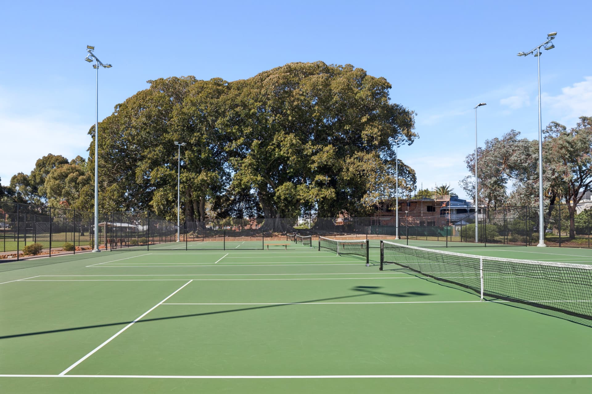 Green acrylic tennis courts at Robertson Park under a clear Perth sky